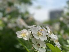 -奉浦四季生态园