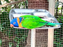 -大连森林动物园