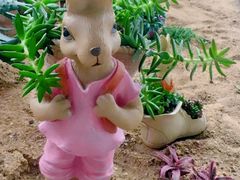 -南山植物园
