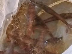 -巽寮印象美食部落餐厅·海鲜·地方特色菜(惠州体验店)