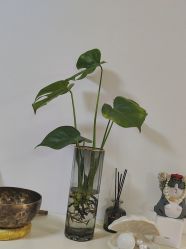 -美肤盾祛痘·问题肌头疗管理中心