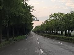 -上海长兴岛郊野公园