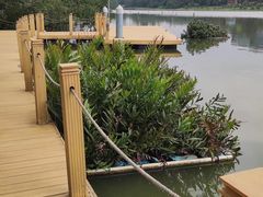 -华侨城湿地公园