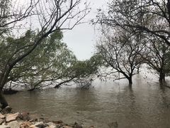 -宝安西湾红树林湿地公园