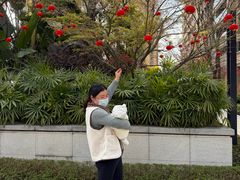 -田螺阿姨自营月嫂·育儿嫂(高新店)