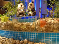 -千家粗粮王(MOMOPARK店)