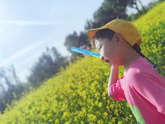 -长白岛森林公园