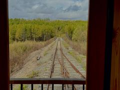 -莫尔道嘎国家森林公园