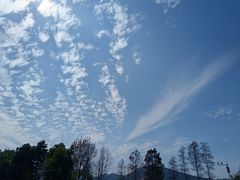 -顺峰山公园