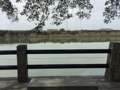 -大湾区中央湿地公园