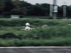 -极速星辰卡丁车赛车场(西山店)