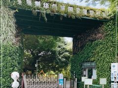 -华侨城湿地公园
