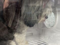 -嘉馨宠物医院·CT影像转诊·心脏科·犬猫全科诊疗中心(下沙大学城院区)