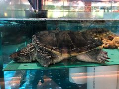 -都市阳光海鲜城(青山湖店)