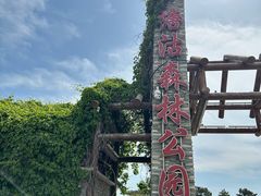 -塘沽森林公园