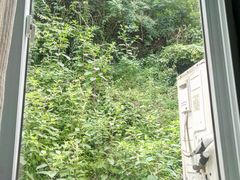 -黄山阿拉酒店(黄山风景区换乘中心店)