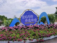 -广西壮族自治区药用植物园