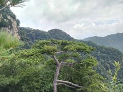 -王顺山国家森林公园