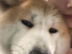 -YCHL Studios健身工作室(市二宫店)