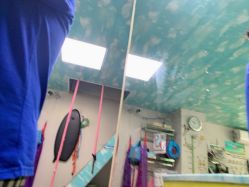 -小鸭先知婴儿游泳馆