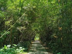 -开平碉楼文化旅游区马降龙景区