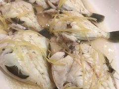 盐水蒸剥皮牛-花城苑广府菜(侨鑫店)