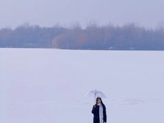-丁香湖公园