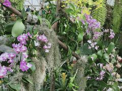 -国家植物园南园