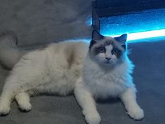 -零纪元VR体验馆·桌游(黄浦店)