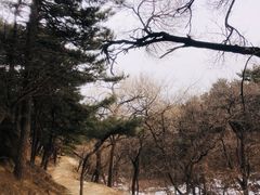 -北京鹫峰国家森林公园