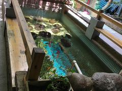-峰少印宴·私房菜·生猛海鲜·地道水乡菜(万江店)