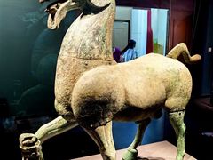 -广西壮族自治区博物馆