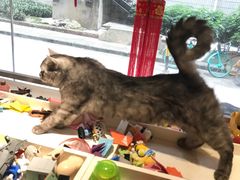 -元氏钵仔糕(北京路店)