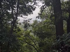 -华润置地大厦E座