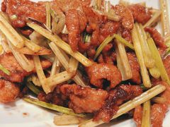 -雲蜀龙阁·金牌水煮鱼(方庄店)