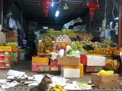 -三亚新鸿港水果一级批发市场
