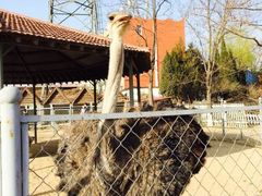 -意大利农场度假村