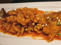 -江南大院松鼠桂鱼(奉贤宝龙店)