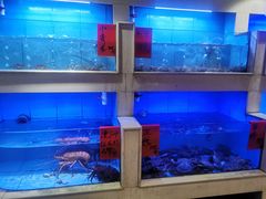 水产区-老蒲田·渔乡楼