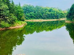 -重庆雨台山风景区