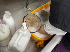 -创凡宠物医院·骨专科  猫科中心(西乡分院)