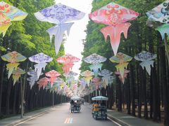 -日照海滨国家森林公园