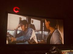 -枫花园汽车电影院(朝阳公园店)