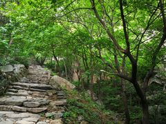 -北京鹫峰国家森林公园