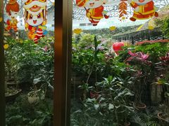 -花之城