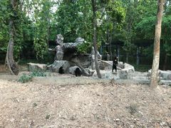 -清迈夜间动物园