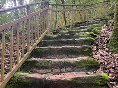 -云南屏边大围山国家公园