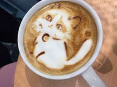 -喵屿·大理花园猫咖