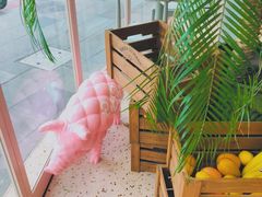 -WHEN PIGS FLY当猪飞