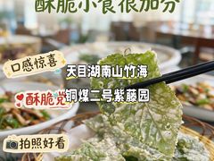 -紫藤园·天目湖大鱼头(南山竹海店)